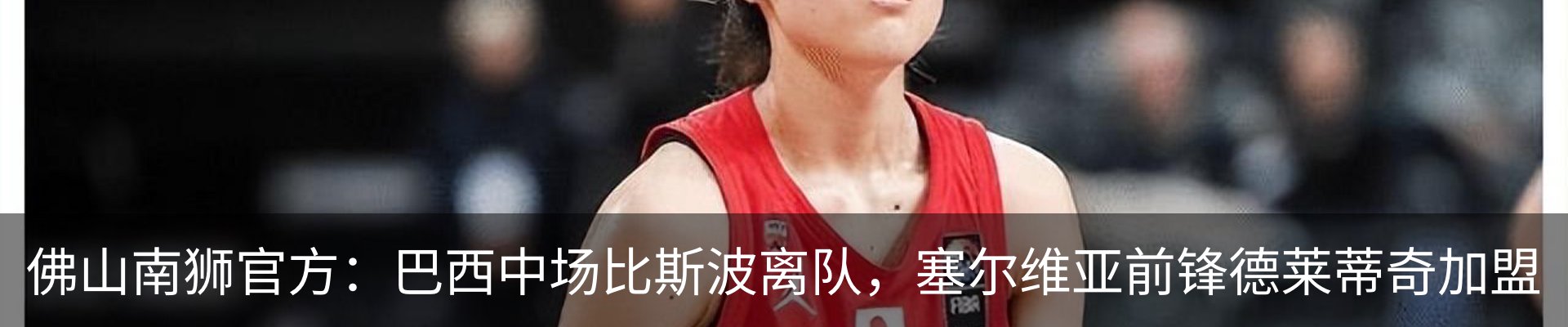 最新动态