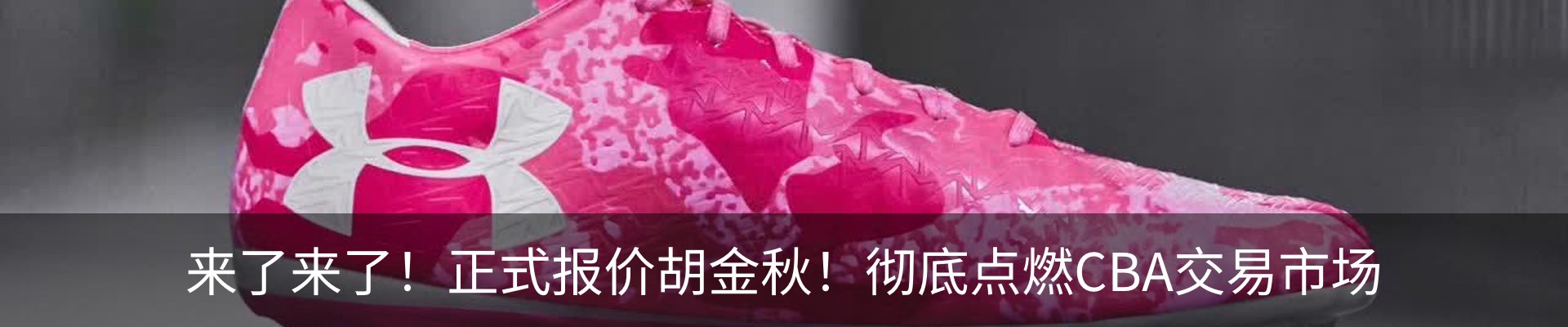 最新动态