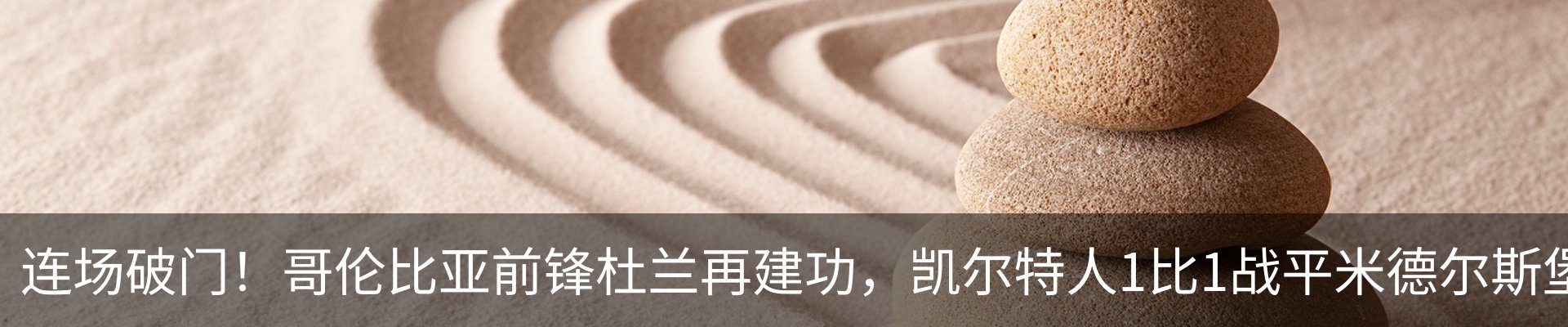 最新动态