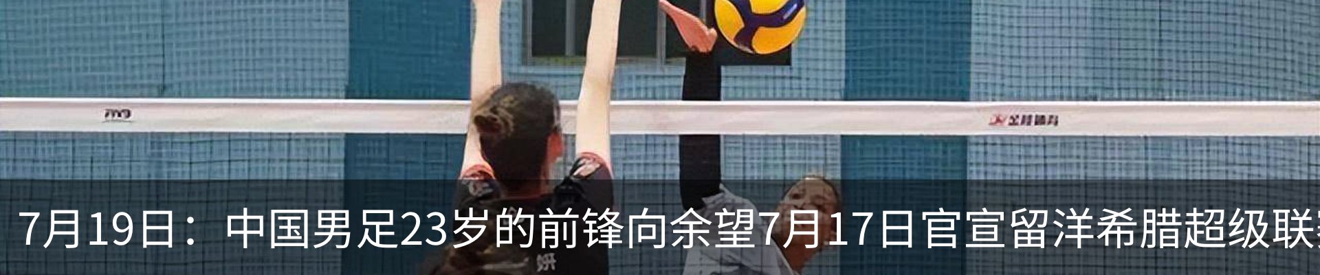 最新动态